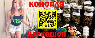 гидра Брянск