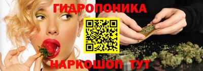 прущие крисы Боровичи