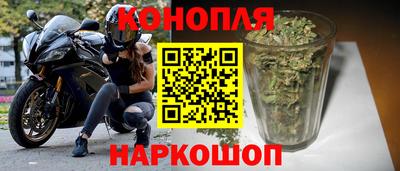 гидра Брянск