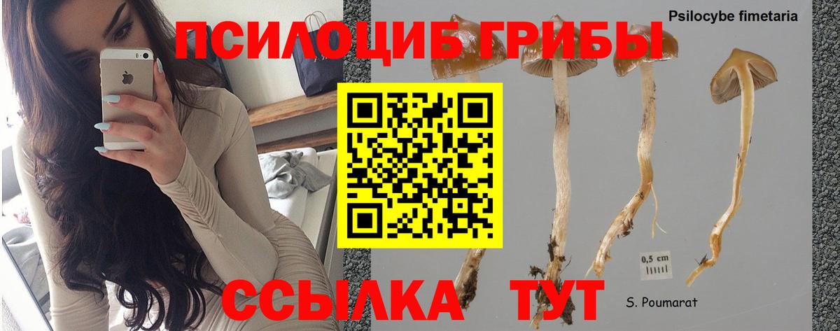 Псилоцибиновые грибы MAGIC MUSHROOMS Тольятти